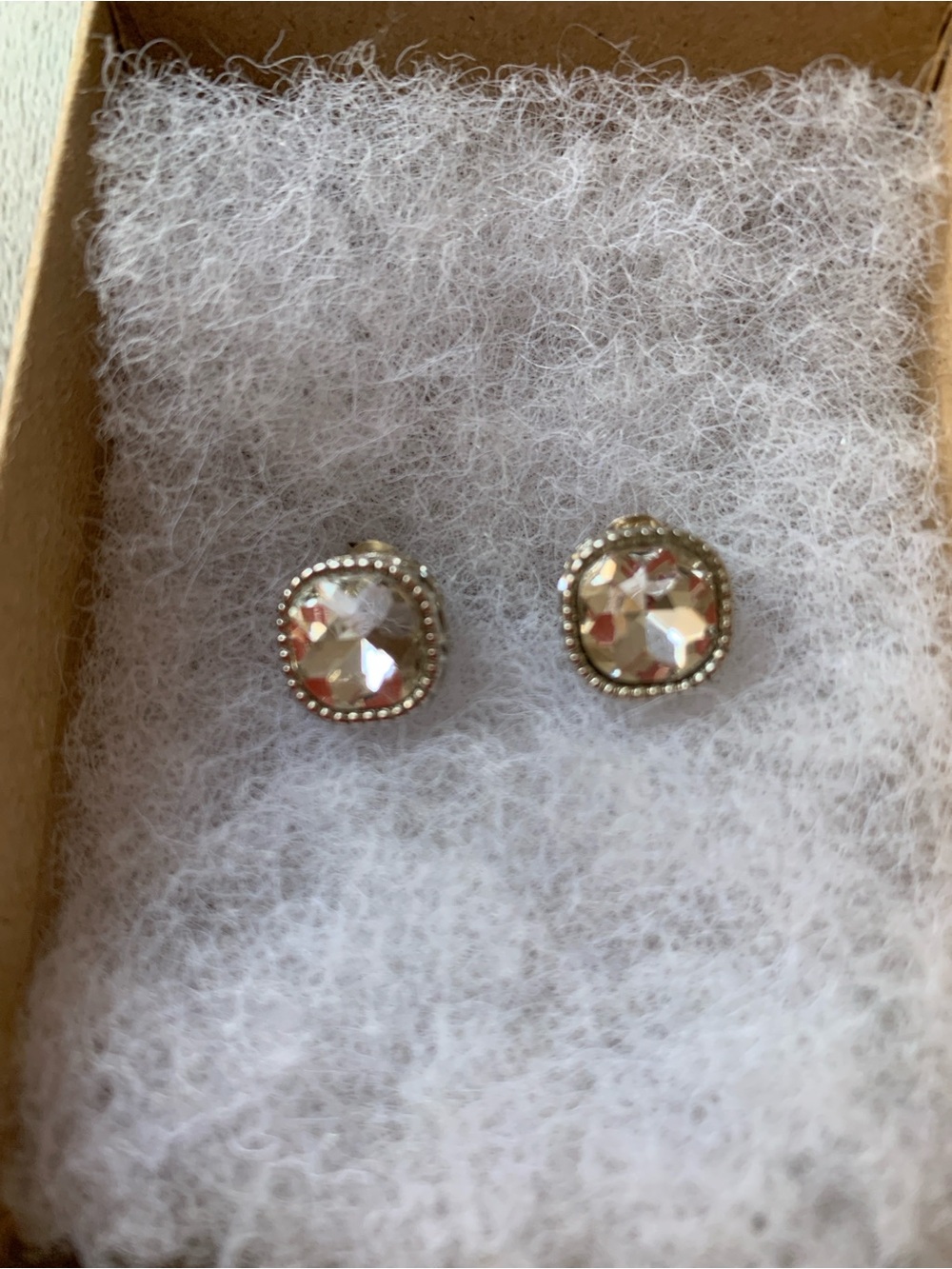 Crystal Halo Stud Earrings - Clear Silver Tone